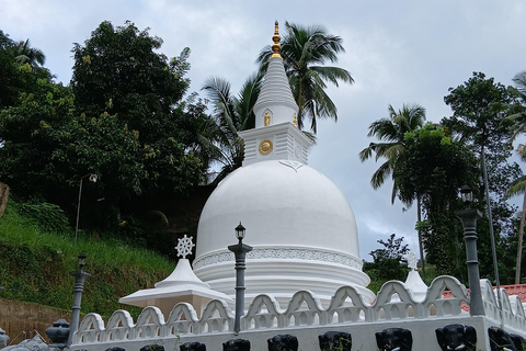 Kandy city tour and village tour in one day