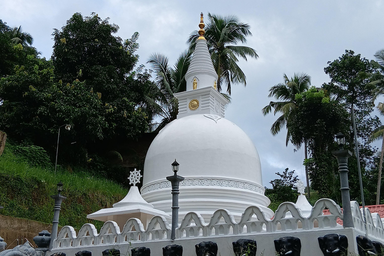 Kandy city tour and village tour in one day
