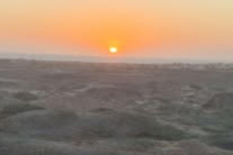Walvis Bay: Sandwich Harbour & Catamaran Combo