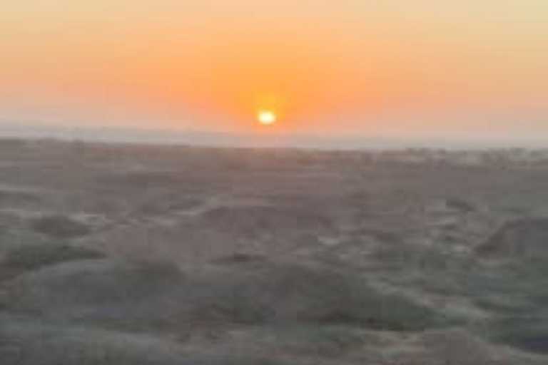 Walvis Bay: Sandwich Harbour & Catamaran Combo