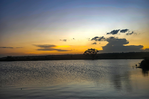 Nairobi National Park: Photography-Focused Safari