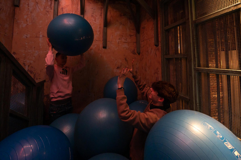 Fangene på Fortet Oslo: Gefängnisinsel Abenteuer Escape Game