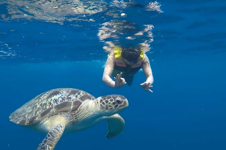 Bali: Gili Islands fast boat Trip with Hotel Pickup Gilis & Lombok to Sidemen Hotel