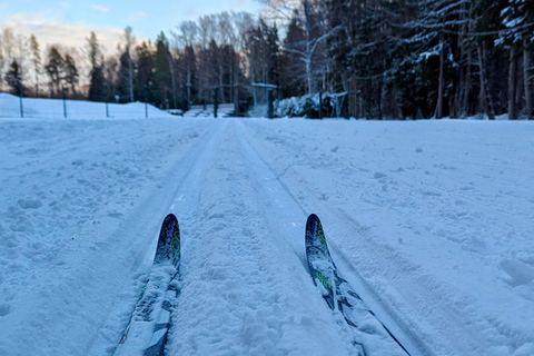 Tallinn: Cross-Country Skiing Experience