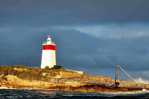 Hobart: Harbor Cruise Iron Pot Lighthouse with Scenic Views