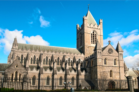 Dubline: Irish Churches and Religion Private Walking Tour 3-hour: 2 Churches & 2 Cathedrals Tour