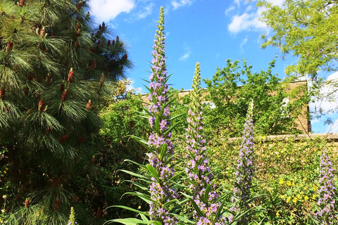 Excursión de día completo a los jardines secretos de Londres