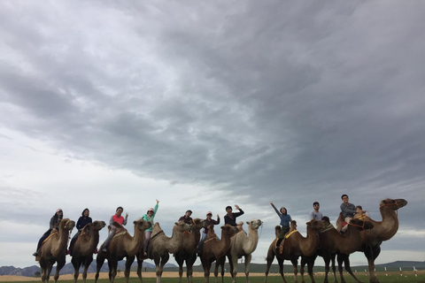 Circuit de 6 jours dans le Grand Gobi en Mongolie