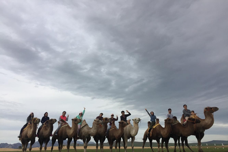 Circuit de 6 jours dans le Grand Gobi en Mongolie