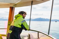 Húsavík, turnê de observação de baleias com guia - Housity