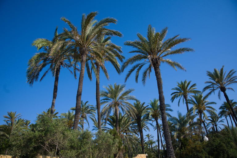 Village Street Market: Santa Pola
