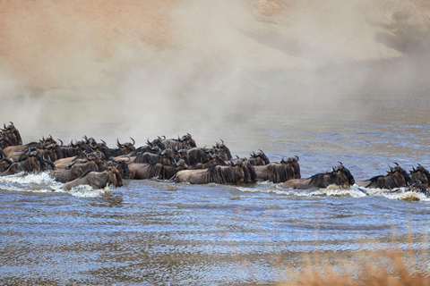 Il più grande safari della migrazione del Serengeti di 7 giorni