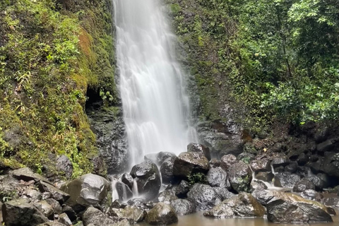 Waikiki: Hidden Hawaii Waterfall Hike and Beach Tour