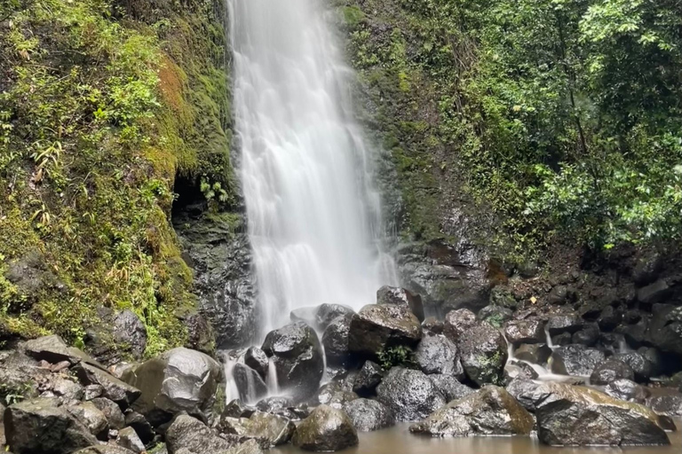 Waikiki: Hidden Hawaii Waterfall Hike and Beach Tour