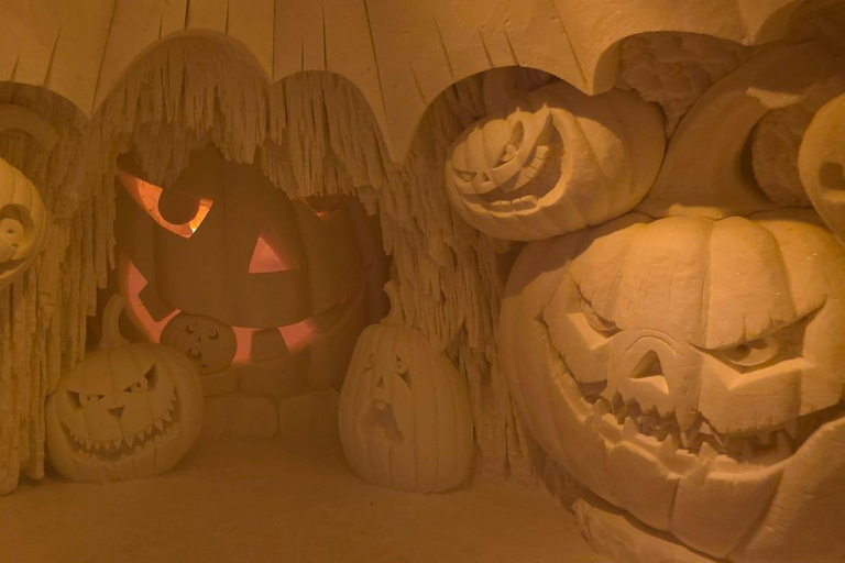 Levi: Private Snow Village tour. Northern lights possibility