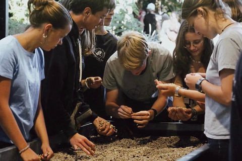 Boquete: Geisha Coffee Plantation Tour with Tasting
