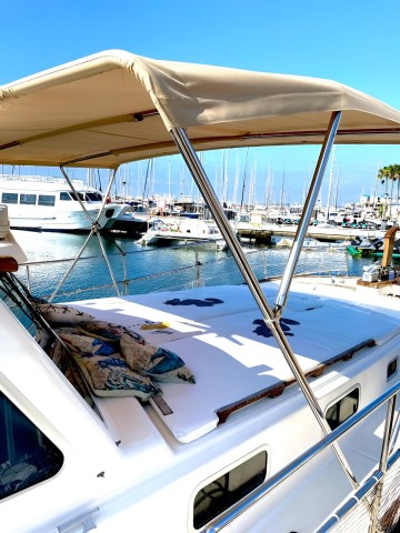 Visit Estepona Sea Cruise in Search of Dolphins/Drink & Snacks in Marbella