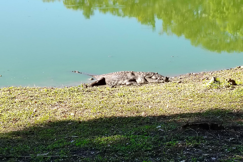 Bacalar: Ichkabal mayan temples & boat tour. Ichkabal only mayan temples guided tour.