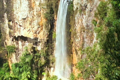 Côte d'Or : Kangourous, forêt tropicale et chutes d'eauVisite privée