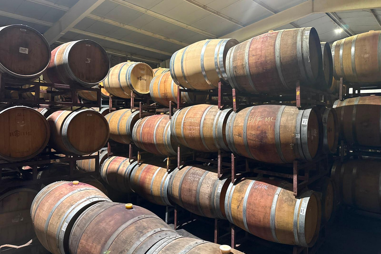 From Santiago: Casa Fevre Tour with Wine Tasting