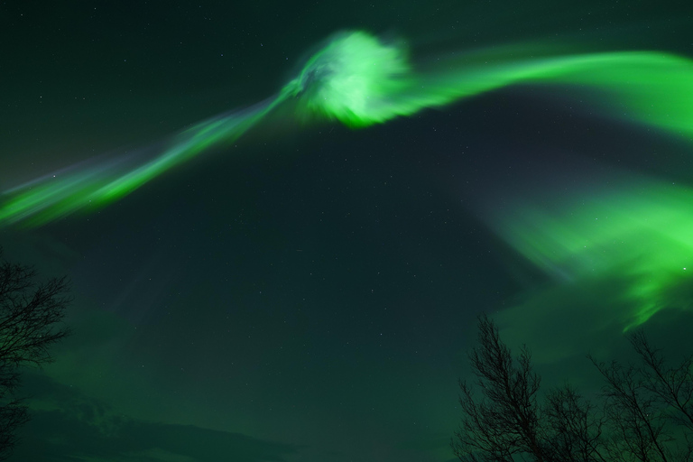 Tromsø: Northern Lights Tour – Unlimited Chase & Free Photos 6-8 Hours, Aurora chase, Comfortable bus, Photos included