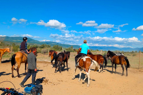 From Tbilisi: Guided Horseback Riding Tour with Transfer 1-Hour Horseback Riding with Round-Trip Transfer