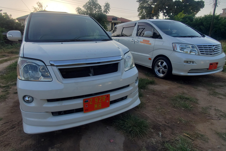 Zanzibar: Van Pwani Mchangani &amp; Kiwengwa hotels naar vliegveld.