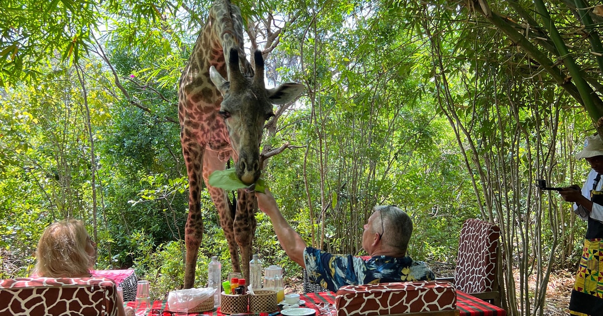 DIANI: CONDIVIDI UN PASTO CON LE GIRAFFE | GetYourGuide