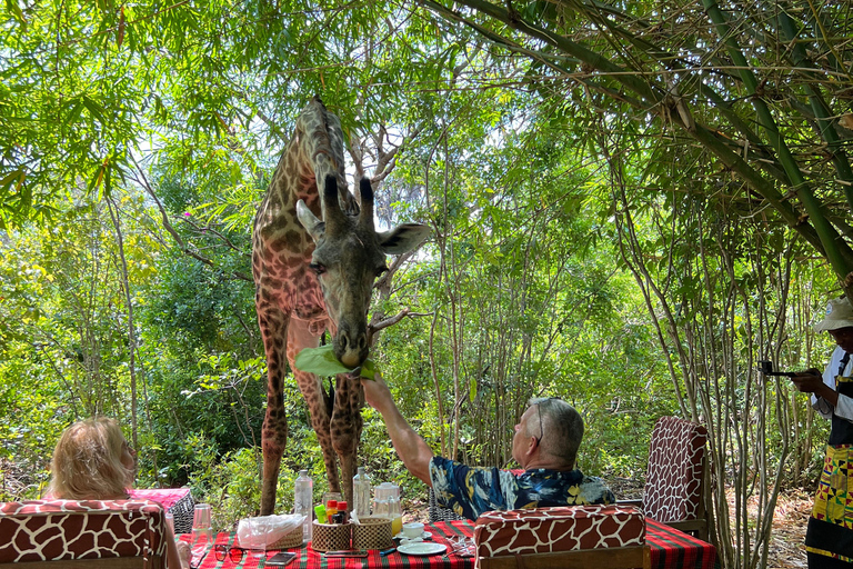 DIANI: EINE MAHLZEIT MIT GIRAFFEN TEILENEINE MAHLZEIT MIT GIRAFFEN TEILEN