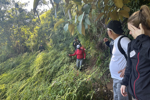 Ubatuba – Trilha Gruta do Pirata