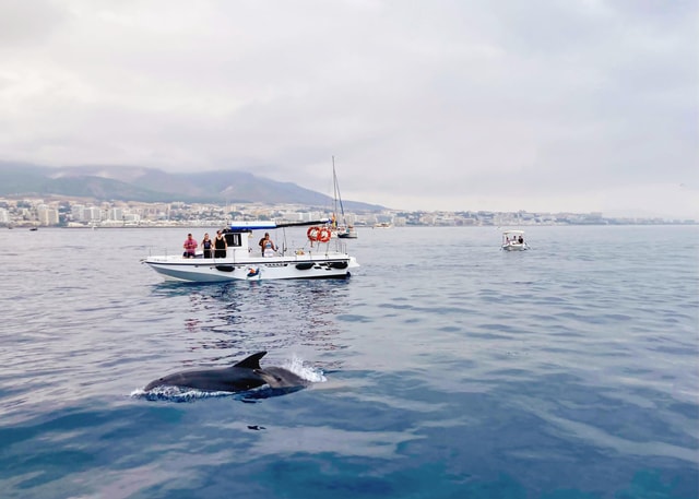 Benalmadena: Private Boat Trip with Drinks & Snacks