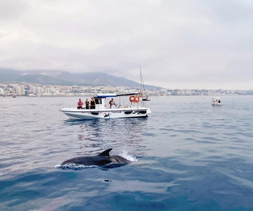 Benalmadena: Private Boat Trip with Drinks & Snacks