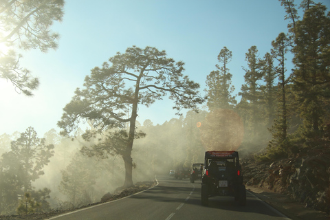 Teneriffa: Familj 4-sitsig Buggy Morgontur till Teide
