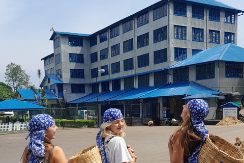 Sri Lanka: 15-Day Guided Tour with Transfers & Hotels