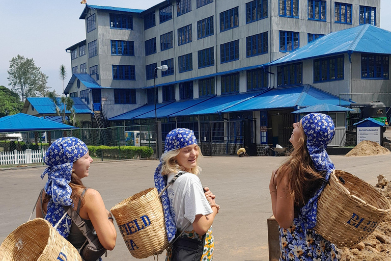 Sri Lanka: 15-Day Guided Tour with Transfers & Hotels