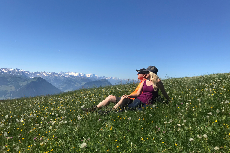 Mount Rigi Guided Hike from Lucerne