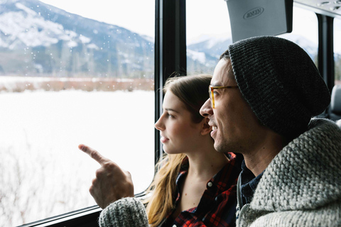 De Calgary: Traslado de ônibus para BanffTransfer de ida dos hotéis do centro de Calgary para Banff