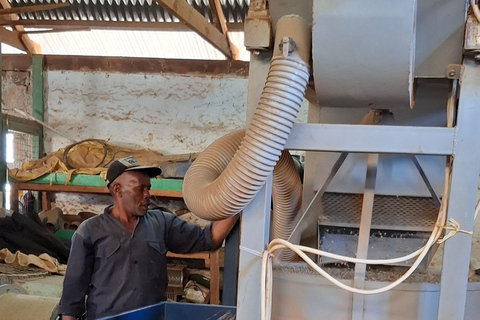 TOUR GIORNALIERO DELLA FATTORIA DEL CAFFÈ FAIRVIEW