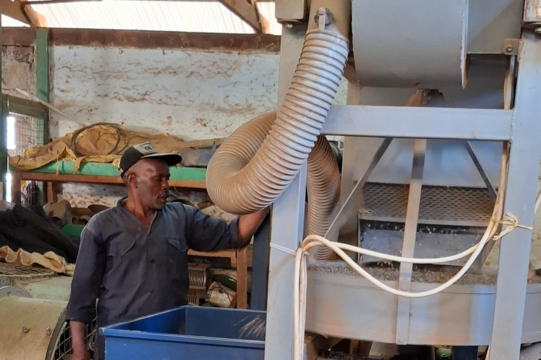 TOUR GIORNALIERO DELLA FATTORIA DEL CAFFÈ FAIRVIEW