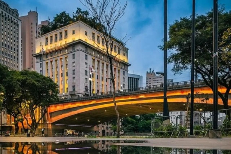 São Paulo: Hoogtepunten wandeltour met gidsSão Paulo: 3 uur hoogtepunten privé wandeltour