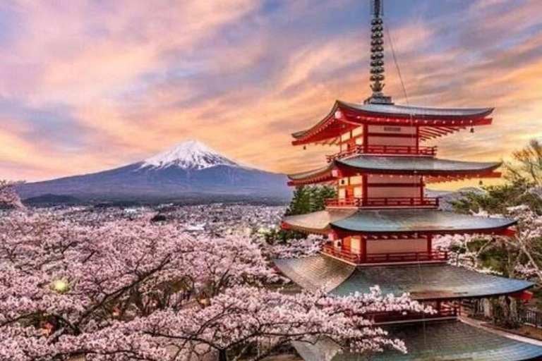 From Tokyo: Mount Fuji Full Day Private Customized Tour ITINERARY B: Mount Fuji & Hakone Customize Tour