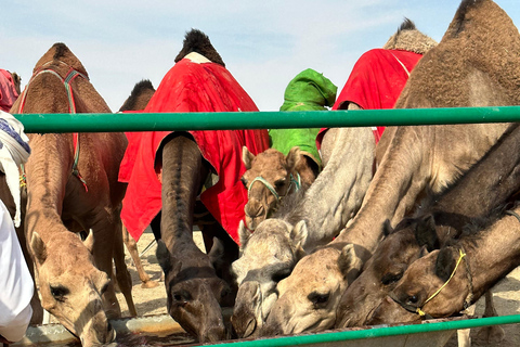 Arabiska 1001 Nätter - Privat tältsafari med övernattning