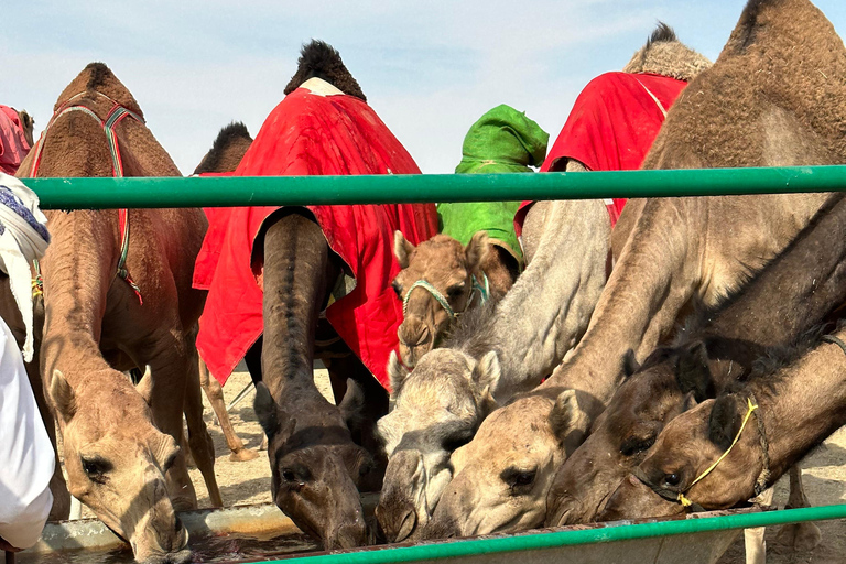 Arabiska 1001 Nätter - Privat tältsafari med övernattning