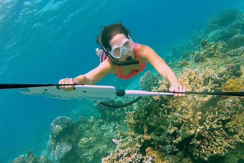 Gili Trawangan: Subwing Experience include Mask