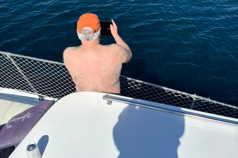 Estepona: Dolphins Searching Sea Cruise with Drink & Snacks Group Cruise