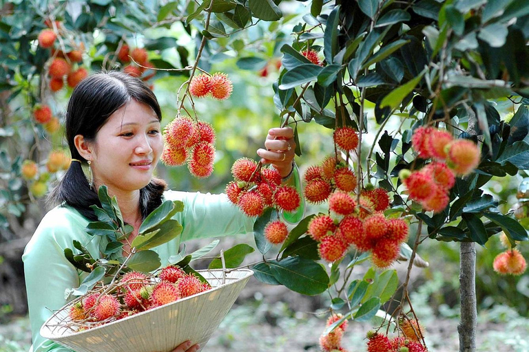 Ho Chi Minh: Fruit Garden &amp; Farm-to-Table Experience