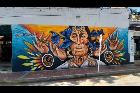Santa Marta Graffiti Tour: Urbane Kunst &amp; Kultur