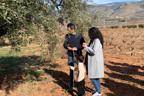 Alpujarra: Ruta del vino y aperitivo local en Bodega Ecológica