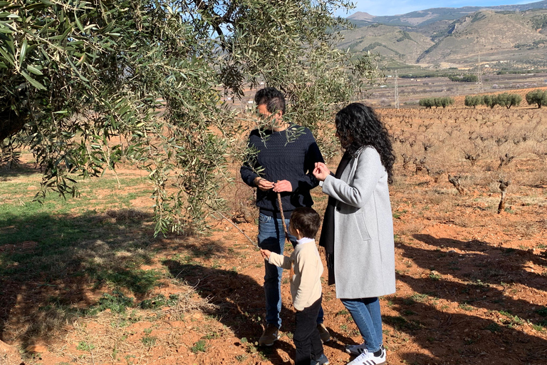 Almería: Ruta del vino y cata en Bodega Ecológica