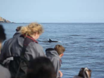 The North Coast Boat Trip Experience